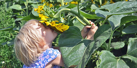 kind mit sonnenblume
