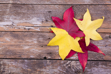 Naklejka na ściany i meble Autumn leaves over aged wooden background