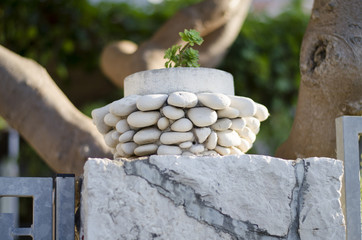 flower pot in ivan dolac, hvar