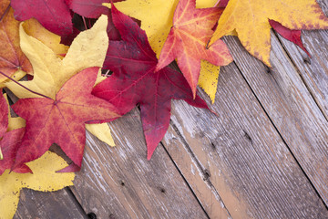 Naklejka na ściany i meble Autumn leaves over aged wooden background