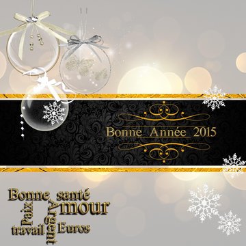 meilleurs voeux 2015