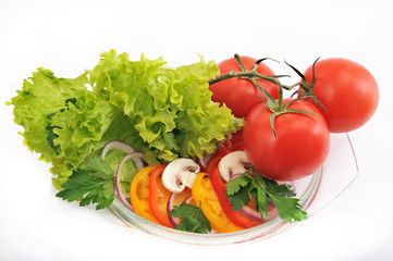 tomato salad with onions peppers mushrooms on a white background
