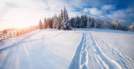 Obraz premium Winter landscape