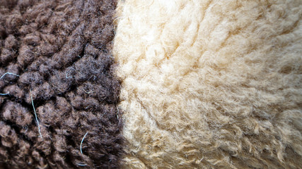 sheep wool texture
