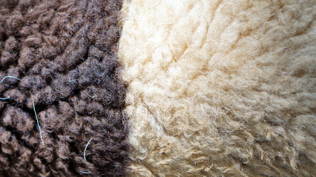 Sheep Wool Texture