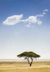Etosha