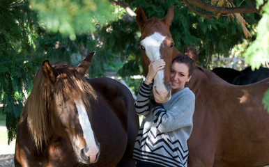 Cavallo affettuoso 05