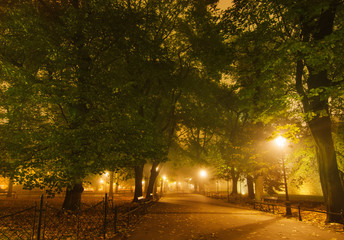 European city park at night