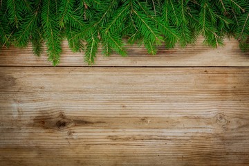 Pine tree border on old wooden background