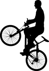 Fototapeta premium silhouette of bicyclist