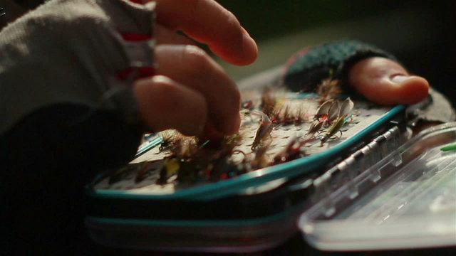 the hand touches front fly in a fly box