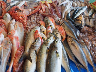 Pesce fresco