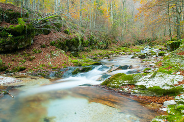 Torrente