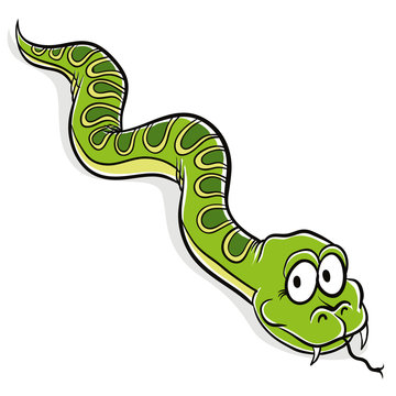 Green snake crawling.