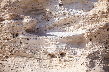 Sea limestone background.