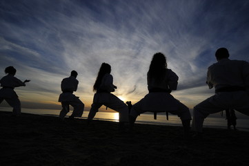 Fototapeta na wymiar Silhouettes of karate fighters