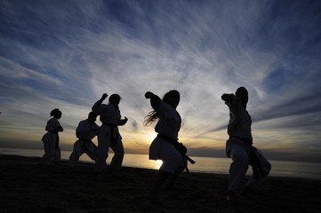 Fototapeta na wymiar Silhouettes of karate fighters