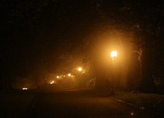 Way on city wall in Greifswald, Mecklenburg-Vorpommern, Germany, covered in fog and mist in the evening