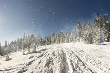 Snowy path on the hill