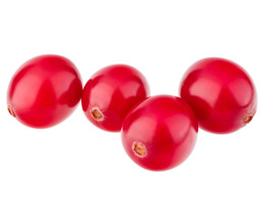 cranberry  isolated on white background cutout