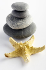 Fototapeta na wymiar pile of stones and sea star closeup on white background