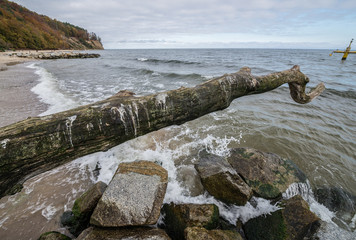 Obraz premium Kepa Redlowska cliff-like Baltic Sea coastline in Gdynia, Poland
