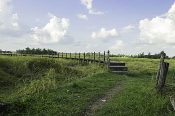 Fototapeta premium Bridge fields