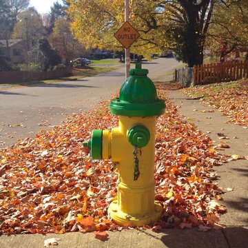 Fire hydrant on city street