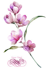 Fototapeta na wymiar watercolor illustration flower bouquet in simple background 