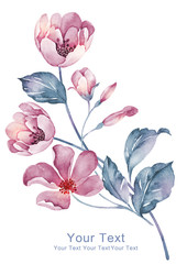 watercolor illustration flower bouquet in simple background - 73184492