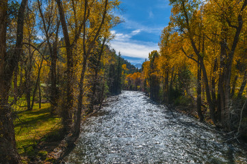 Crystal River Colorado Fall Colors