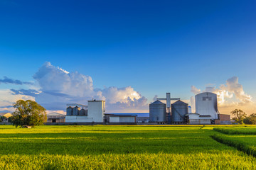 Rice mill