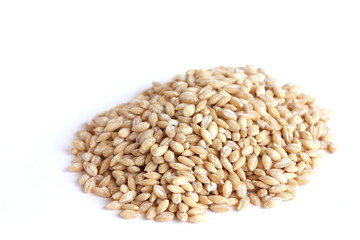 Pearled Barley