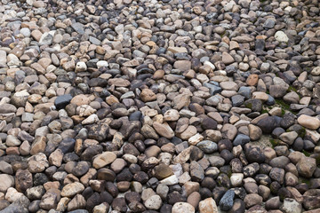 pebble stone texture background