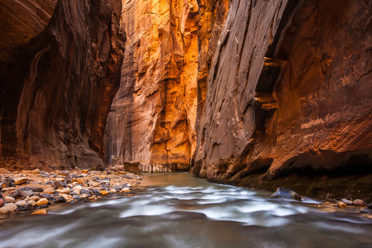 Glowing Sandstone wall, The Narrows, Zion national park, Utah