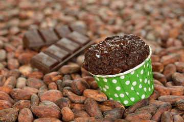 Chocolate muffins
