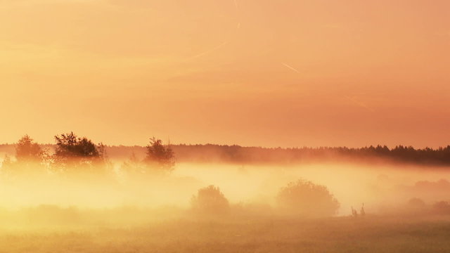 Moving fog at dawn