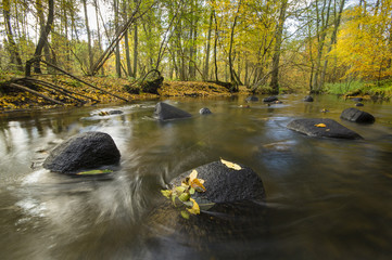 Jesienna rzeka - obrazy, fototapety, plakaty