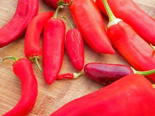Colorful chili peppers