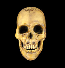 Obraz premium Human skull isolated on black background.