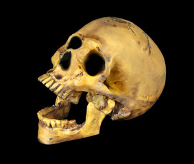 Human skull isolated on black background.