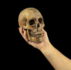 Holding human skull in hand. Conceptual image.