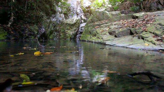 Waterfall in deep forest on Koh Samui. Thailand. HD. 1920x1080