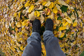 Standing In Autumn Leaves