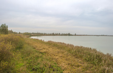 The shore of a lake with reed in autumn