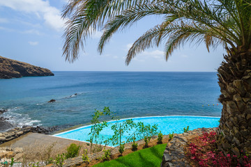 Palm tree and swimming pool on coast of Madeira island, Portugal