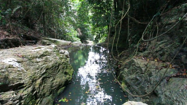 Tropical rainforest landscape with beautiful waterfall, rocks