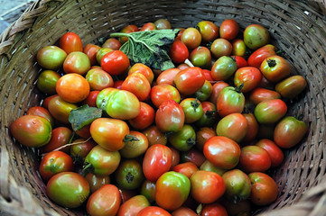 Organic tomatoes in basket in Asian traditional fresh vegetables