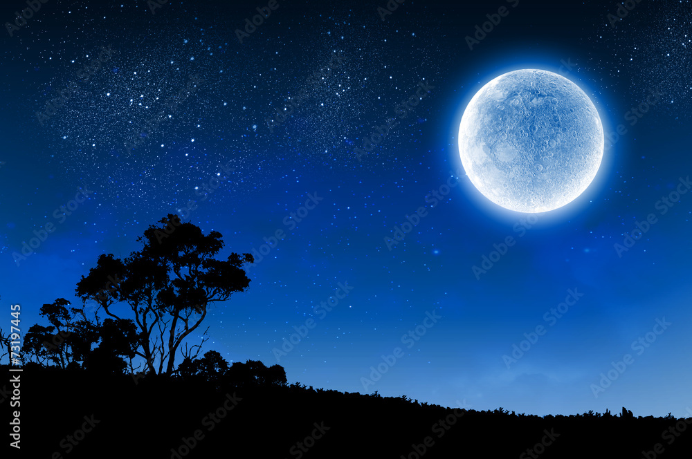 Wall mural full moon