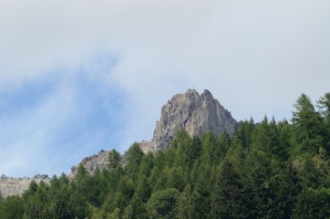 montagna con bosco